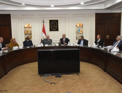 وزير الإسكان ومحافظ جنوب سيناء يتابعان المشروعات المشتركة فى مجالات الإسكان