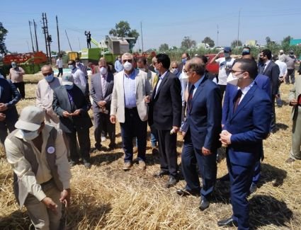 وزير الزراعة يشهد حصاد القمح بمزرعة القرضا بكفر الشيخ ويتفقد مزرعة معهد بحوث الانتاج الحيواني