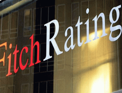 وكالة فيتش: صادرات مصر الزراعية تحقق أرقامًا قياسية