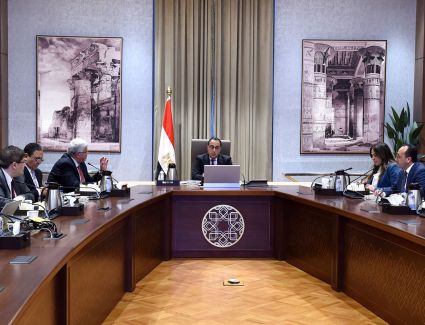 رئيس الوزراء يستعرض مع وزير التعليم العالى أهداف المنصة الإلكترونية للإرشاد المهني لطلاب الجامعات