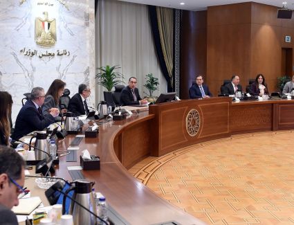 رئيس الوزراء يتابع مستجدات إعداد الاستراتيجية الوطنية لإنتاج الهيدروجين الأخضر