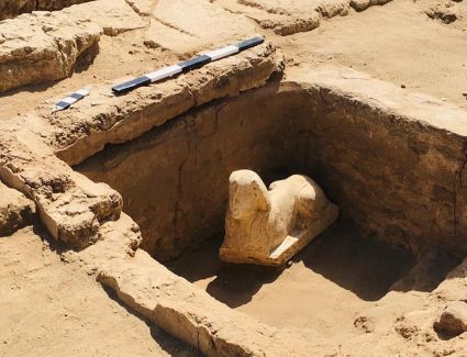 عاجل: اكتشاف تمثال لأبو الهول وبقايا مقصورة كلاوديوس بجوار معبد دندرة بمحافظة قنا