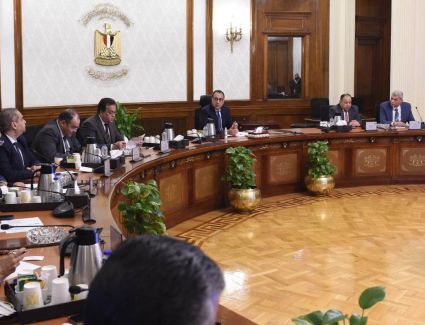 رئيس الوزراء يناقش سبل  تيسير إجراءات تراخيص مصانع الأدوية والمستلزمات الطبية