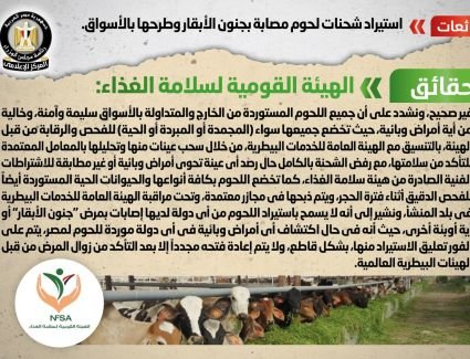 الحكومة تنفي شائعة استيراد شحنات لحوم مصابة بجنون الأبقار وطرحها بالأسواق