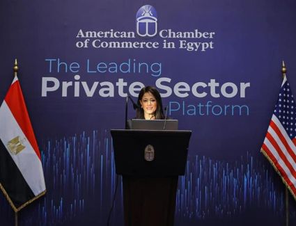 "المشاط" تلتقي وفد مستثمرين من اليونان وقبرص خلال اللقاء الذي نظمته غرفة التجارة الأمريكية